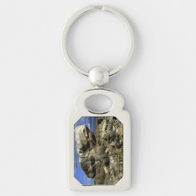 Mushroom Rock Key Ring (Front)
