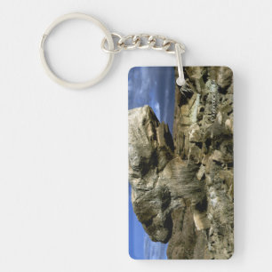 Mushroom Rock Key Ring