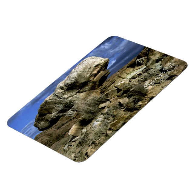 Mushroom Rock Magnet (Left Side)