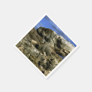 Mushroom Rock Napkin