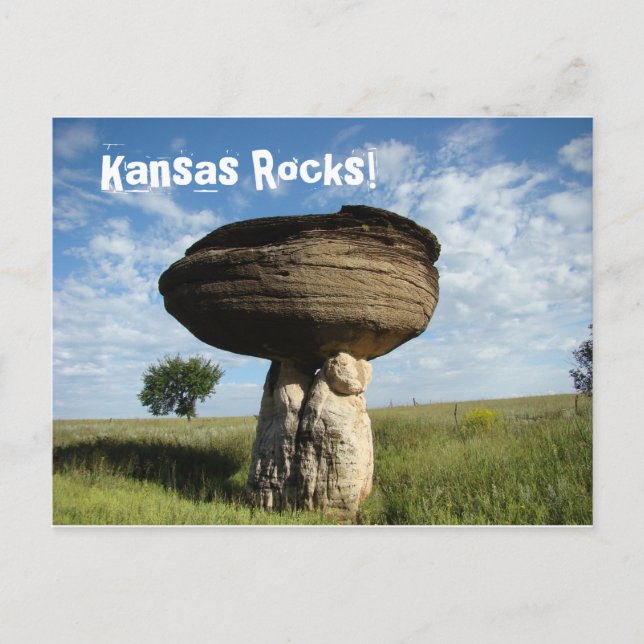 Mushroom Rock Postcard (Front)