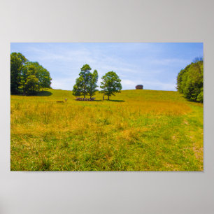 Mushroom Rock, Stonecreek, Ohio Poster