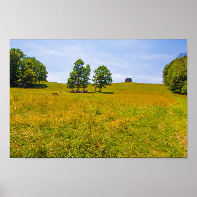 Mushroom Rock, Stonecreek, Ohio Poster (Front)