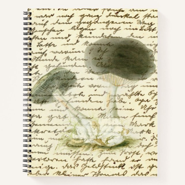 Mushroom sketch faded text distressed boho  notebook (Front)
