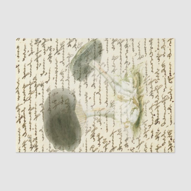 Mushroom sketch faded text distressed boho tissue paper (Front)