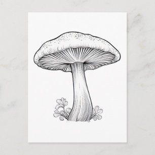  Mushroom sketch  pencil drawing , cartoon , tree  Postcard