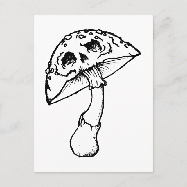 mushroom skull postcard (Front)