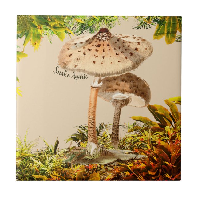 Mushroom Species Snake Agaric | Tile (Front)