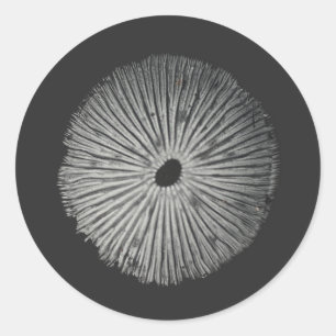 Mushroom spore classic round sticker