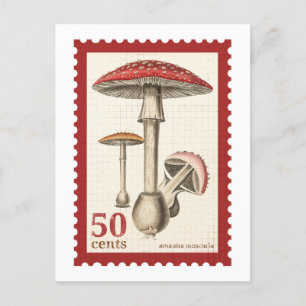 Mushroom Stamp Postcard
