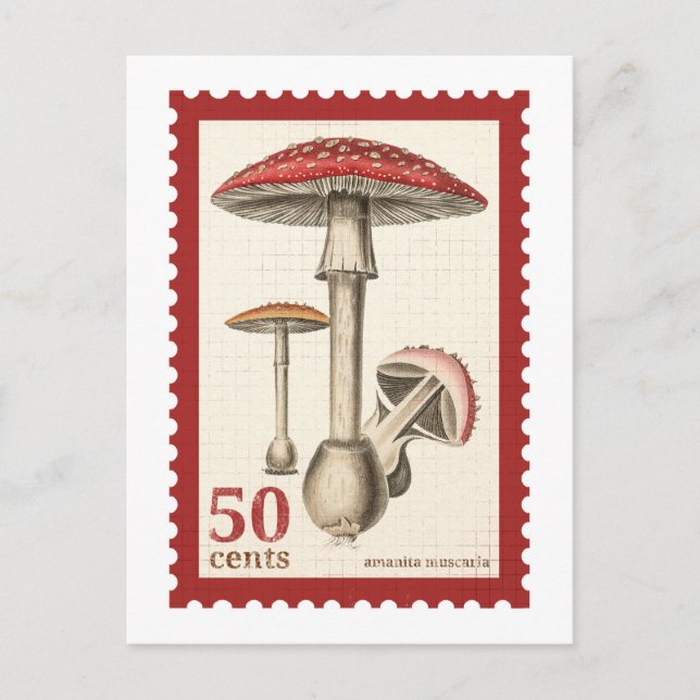 Mushroom Stamp Postcard (Front)