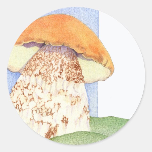 Mushroom Sticker (Front)