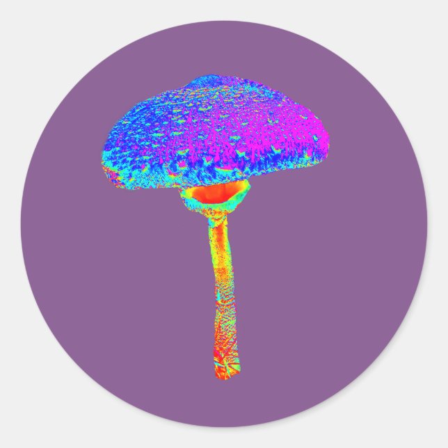 Mushroom Sticker (Front)