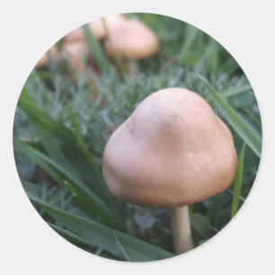 Mushroom Stickers