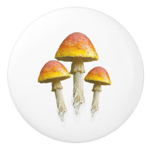 Mushroom trio ceramic pull (colour)