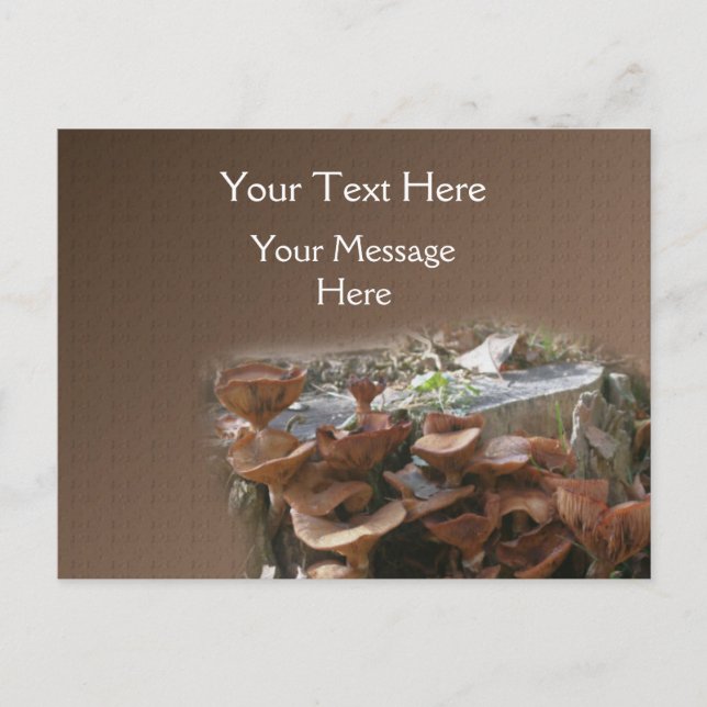 Mushroom Village Nature Postcard (Front)