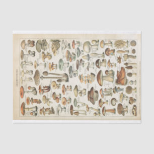 Mushroom Vintage French Fungi Decoupage Collage Tissue Paper