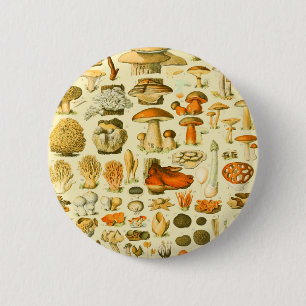 Mushroom Vintage Toadstool Antique Illustration 6 Cm Round Badge