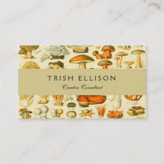 Mushroom Vintage Toadstool Antique Illustration Business Card