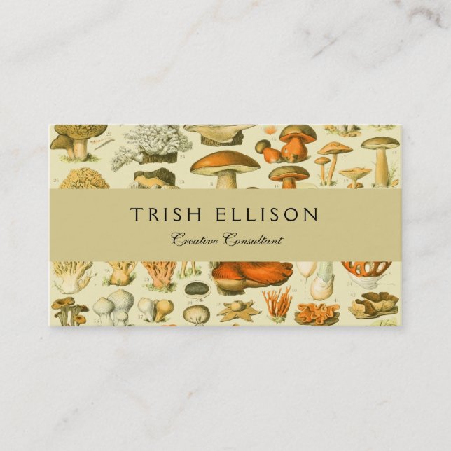 Mushroom Vintage Toadstool Antique Illustration Business Card (Front)