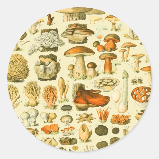 Mushroom Vintage Toadstool Antique Illustration Classic Round Sticker (Front)