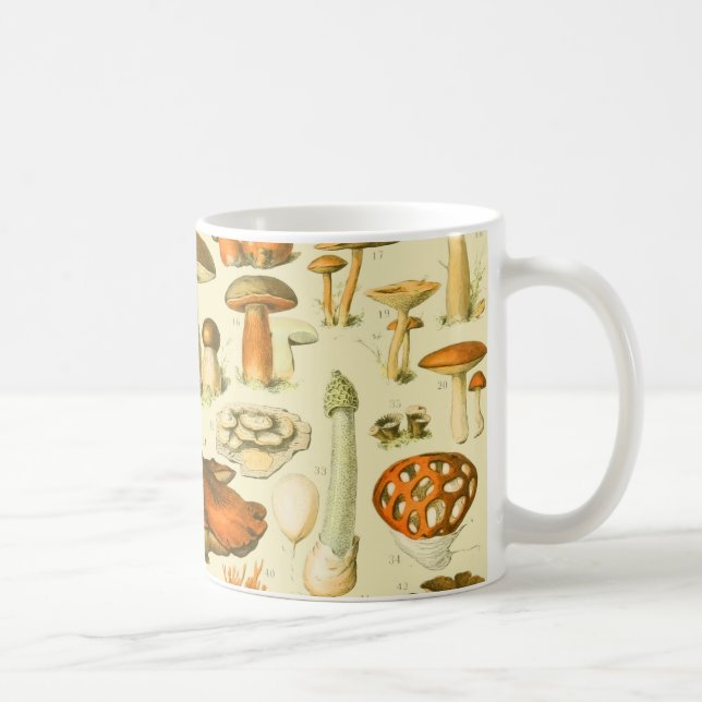 Mushroom Vintage Toadstool Antique Illustration Coffee Mug (Right)