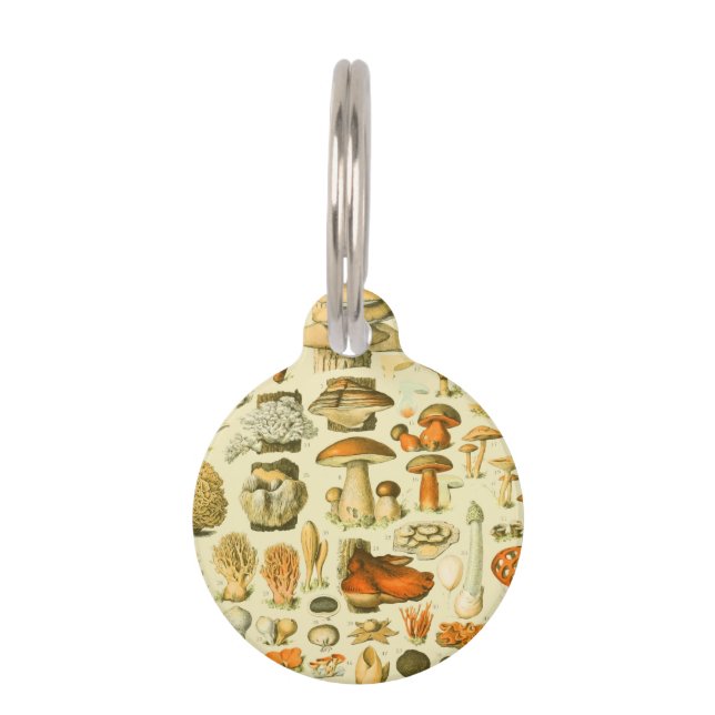 Mushroom Vintage Toadstool Antique Illustration Pet Tag (Front)