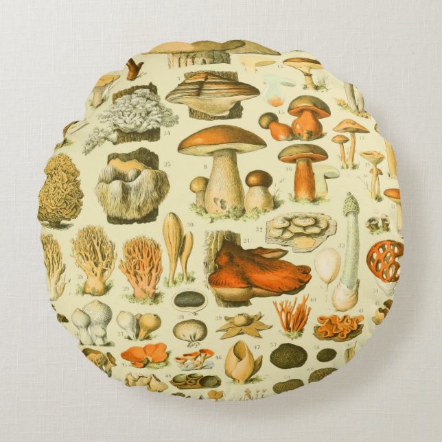 Mushroom Vintage Toadstool Antique Illustration Round Cushion (Front)