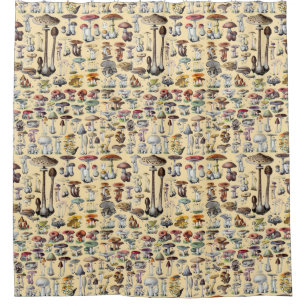 Mushroom Vintage Toadstool Antique Illustration Shower Curtain