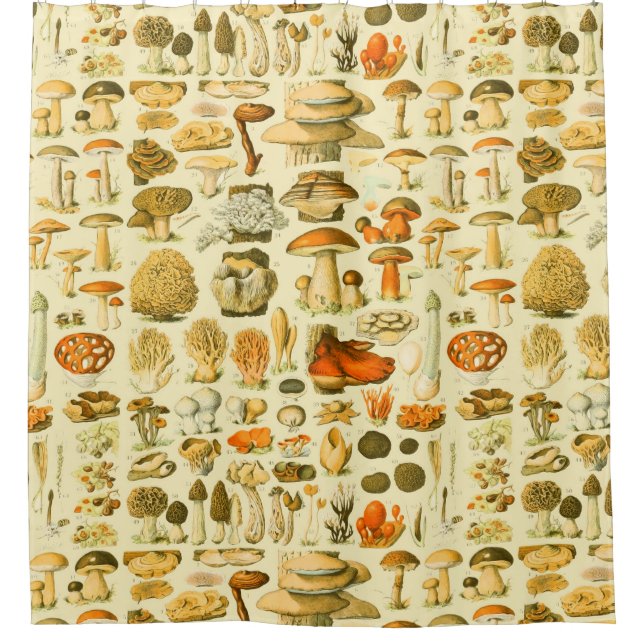 Mushroom Vintage Toadstool Antique Illustration Shower Curtain (Front)