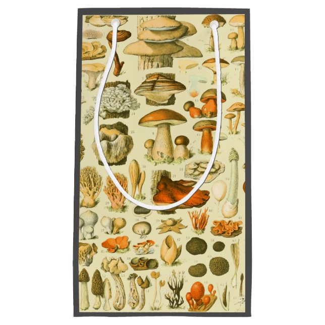 Mushroom Vintage Toadstool Antique Illustration Small Gift Bag (Front)