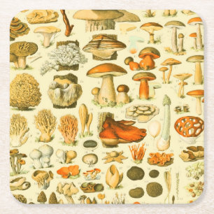 Mushroom Vintage Toadstool Antique Illustration Square Paper Coaster