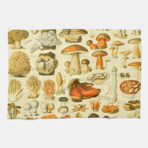 Mushroom Vintage Toadstool Antique Illustration Tea Towel