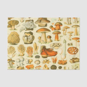Mushroom Vintage Toadstool Antique Illustration Tissue Paper