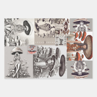 Mushroom Vogue Lady Wrapping Paper Sheet