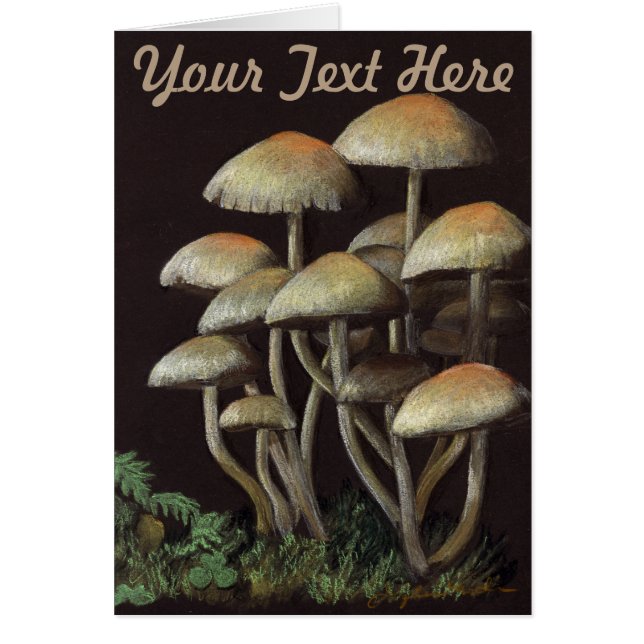 Mushrooms (Front)