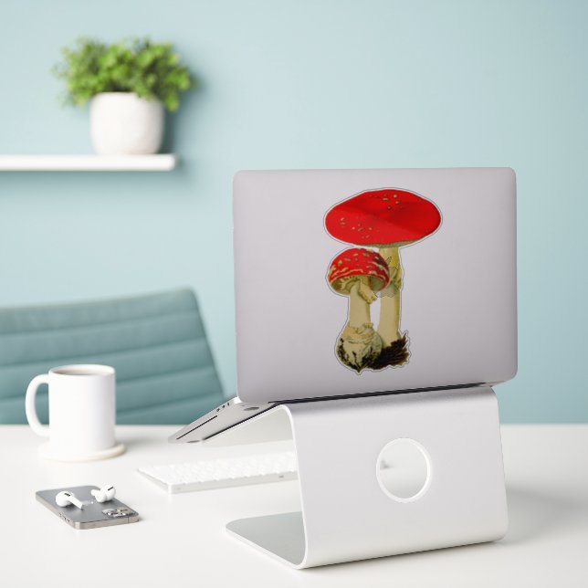 Mushrooms  (Laptop On Desk)