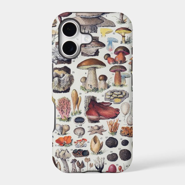 Mushrooms 2 (Back)