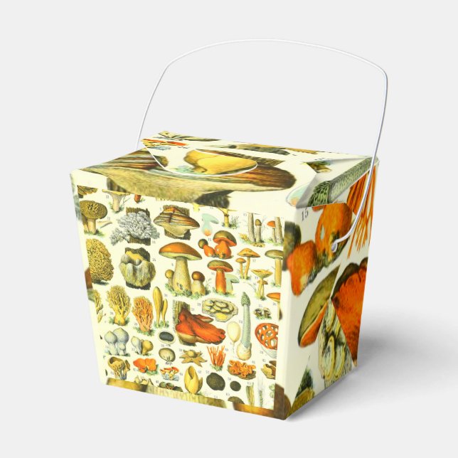 MUSHROOMS 2    FAVOUR BOX (Front Side)