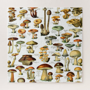 MUSHROOMS 4  JIGSAW PUZZLE