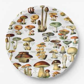 MUSHROOMS 4 PAPER PLATE