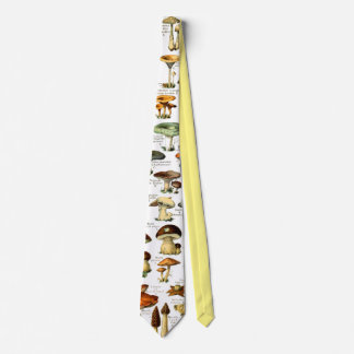 MUSHROOMS 4 TIE