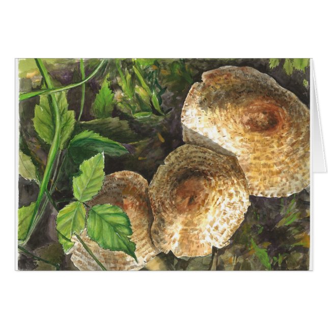 Mushrooms always attractive to the eyes of onlooke (Front Horizontal)