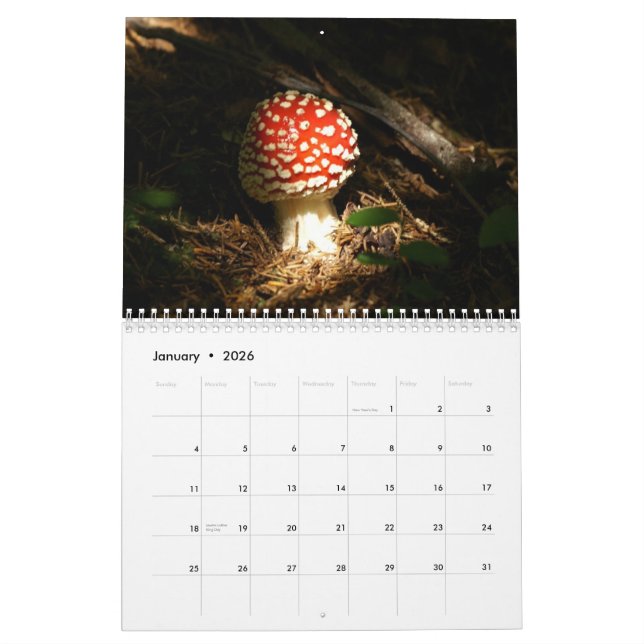 Mushrooms Calendar (Jan 2026)