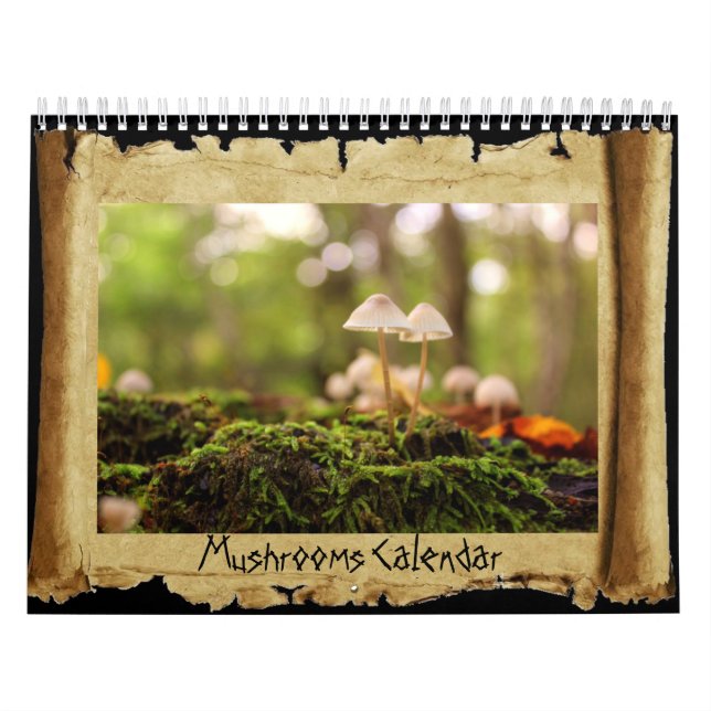 Mushrooms Calendar (Cover)