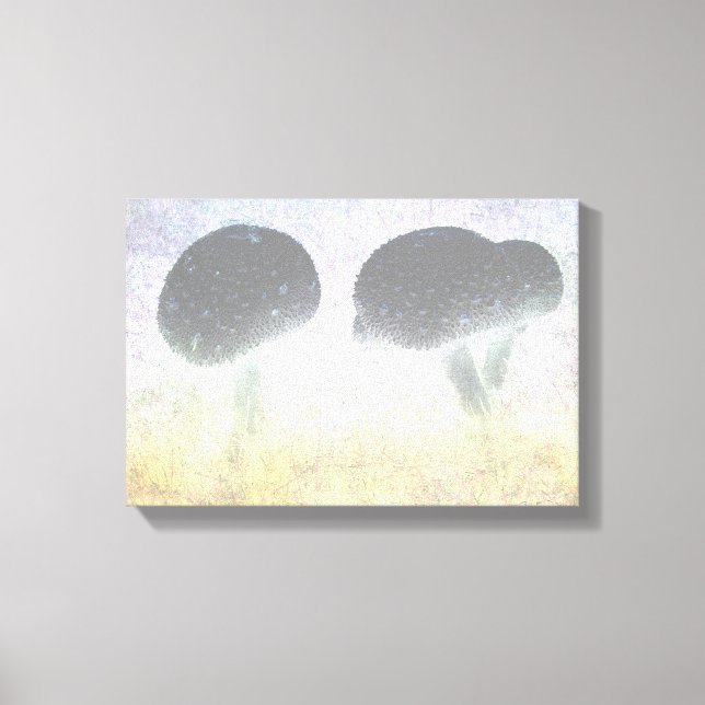 Mushrooms Canvas Print (Front)