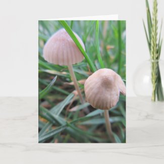 Mushrooms card blank