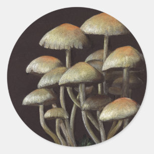 Mushrooms Classic Round Sticker