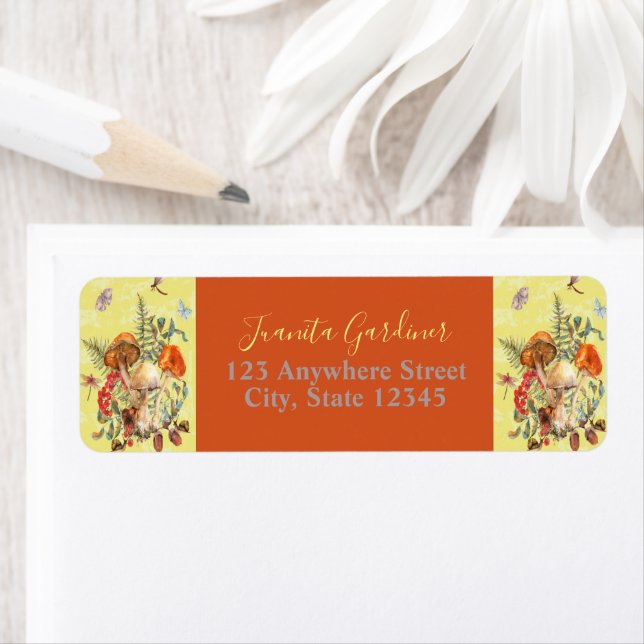 Mushrooms, Dragonflies, Moths & Snails return (Insitu)