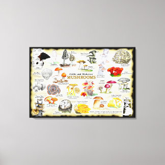 Mushrooms (edible and medicinal) Large Canvas